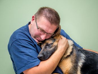 How to know if it's time to say goodbye to a pet
