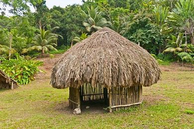 From Huts to Cities: How Changes in Dwellings Impact Human Immune System