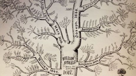 DNA Tests Can’t Really Tell Your True Ethnicity