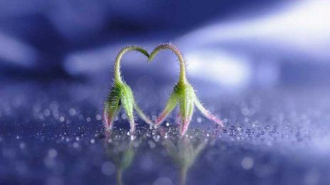 Still life photography: 30 beautiful examples