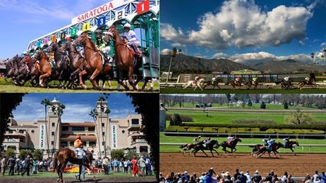 Racetrack Bucket List: Which Track to Visit First?