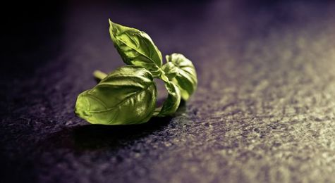 8 eco-friendly kitchen renovations for smart homeowners |