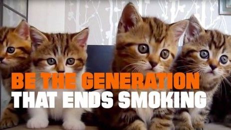 Protect Your Cats from Secondhand Smoke