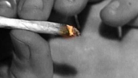 Potent form of marijuana shattering lives around area