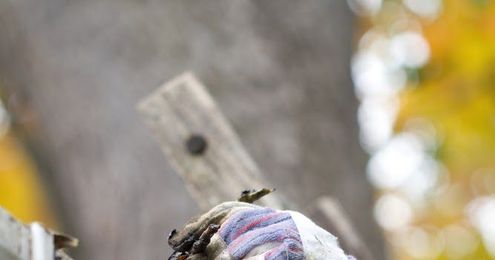 Are Your Gutters Ready for the Rainy Season? 