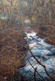 Reporting on Fruitful Research