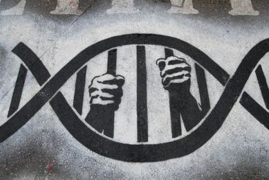 BioEdge: Is there a difference between genetic engineering and eugenics?