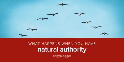 4 Reasons Natural Authority Rocks and 4 Ways to Build It