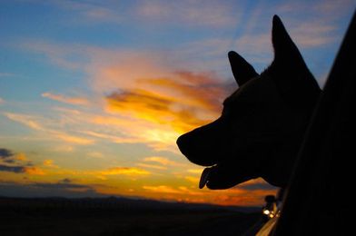 13 Things You Can Do With Your Extra Hour Of Sunshine