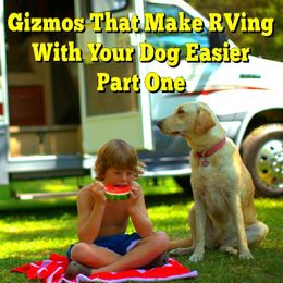 Gizmos That Make RVing With Your Dog Easier Part One