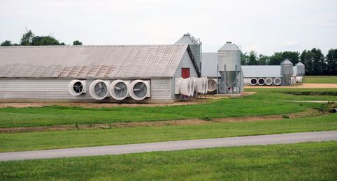 Excessive phosphorus levels measured on 18 percent of Maryland farmland