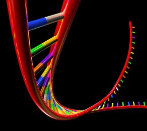 A new approach to pest control