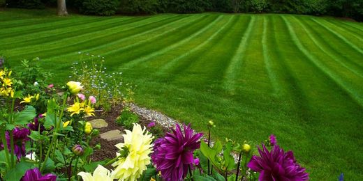 Simplicity key to being ‘green’ with your green