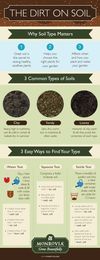 Identify Your Soil and Know How to Fix It