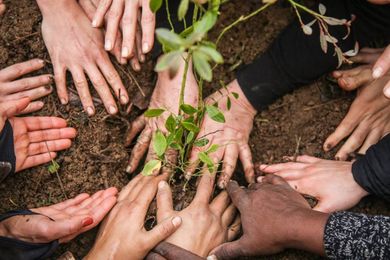 Permaculture Action: Seeding Networks & Community