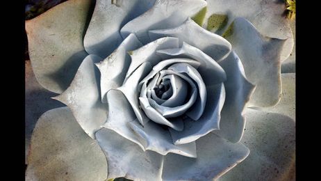 Show off your water-saving garden makeovers: Send us pictures 