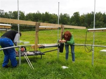 Warming up northern meadows