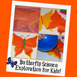 Butterfly Craft and Science Exploration for Kids!