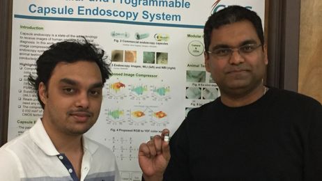 Tiny camera used to see first-ever images inside a living horse's stomach 