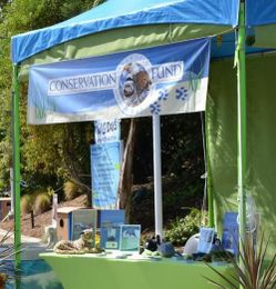 Wild Days: Learning to Care about Wildlife and the Environment