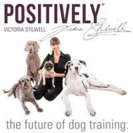 5 Moments Deaf Dog Parents Need a Drink