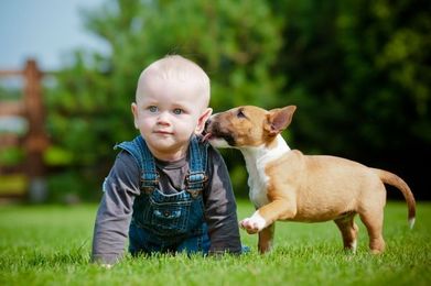 Keeping Kids and Pets Safe During Pest Control