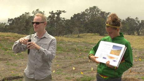 Seedling Selection and Care