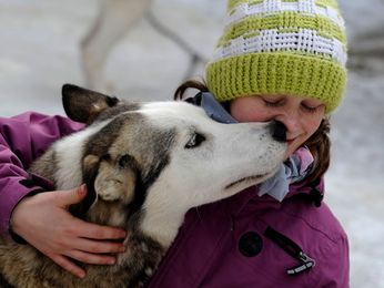 Is it safe to smooch your dog?