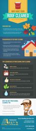 Infographics: Why Have Your Roof Cleaned By A Professional