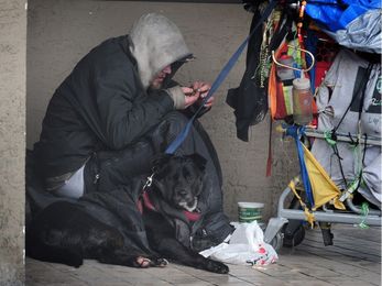 Pet Therapy: The importance of support for homeless people and their pets