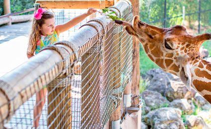 12 Things You May Not Know About the First Coast