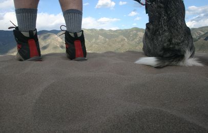 Pups in Parks: How to Experience U.S. National Parks with Your Dog