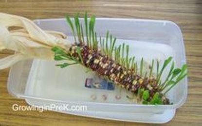 Science for Kids: Planting and Growing in Preschool