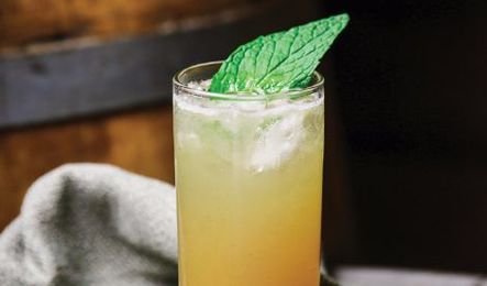 The Thirst-Quenching Secrets of Salty Ginger-Ade