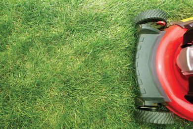 Know when to get into the groove with lawns and landscaping