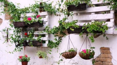 Pallet Projects For Your Garden This Spring