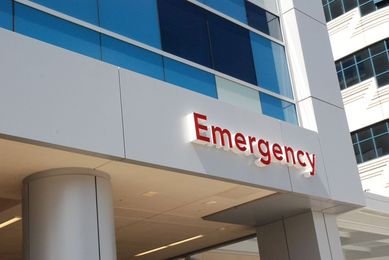 When Animals Attack: Preventing, Treating Pet Bites