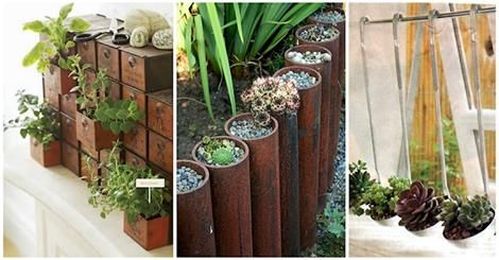 Starting your spring garden?