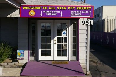 Using A Pet Boarding Facility When Going On Vacation