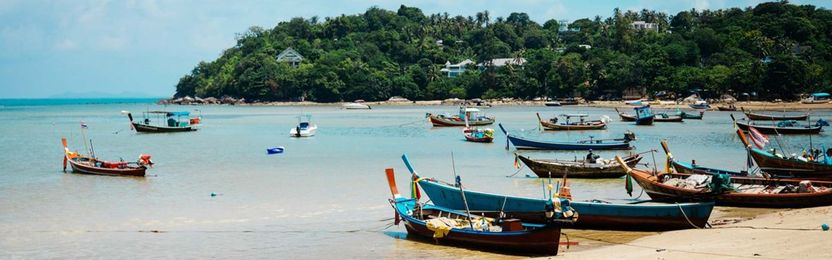 Are Reputation Management Services Worth It?