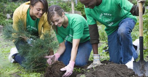 Why Your High School Graduate May Want To Take A Gap Year