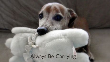 Keep Your Home Tidy with the ABC Rule