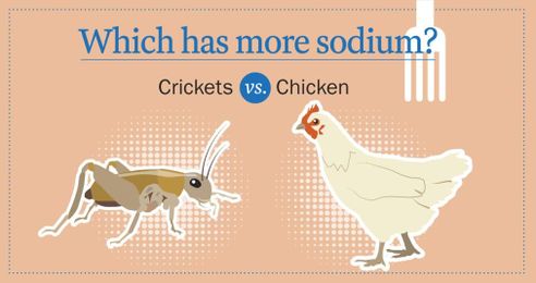 Should You Be Eating Bugs Instead of Meat?