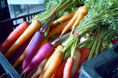 These NoFo farms make cooking a breeze: The Spin