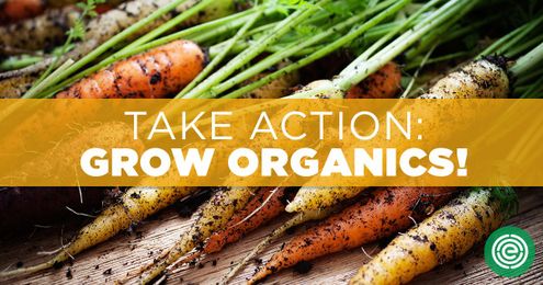 Sign the Petition: Grow Organics!