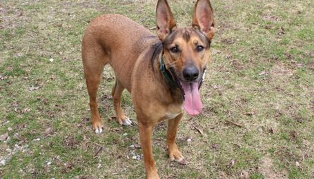 What Resource Guarding Has Taught Me About Wanting New Stuff