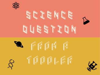 Why Do Boys Have Wieners?