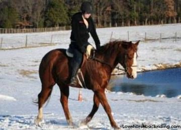 Riding Horses is Fun