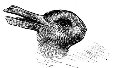 Do You See a Duck or a Bunny? The Answer Is Quite Telling