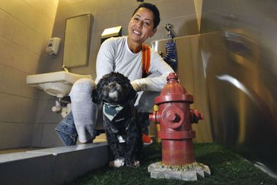 Now your pets can poop at the airport like the civilized creatures they are